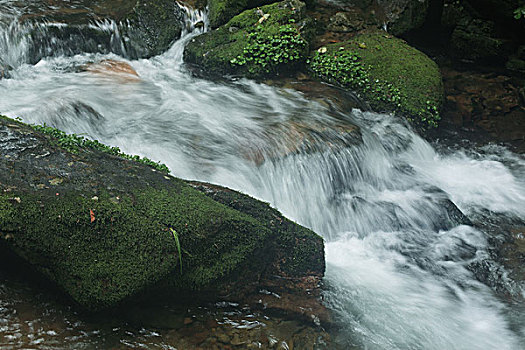 soi cau tai loc