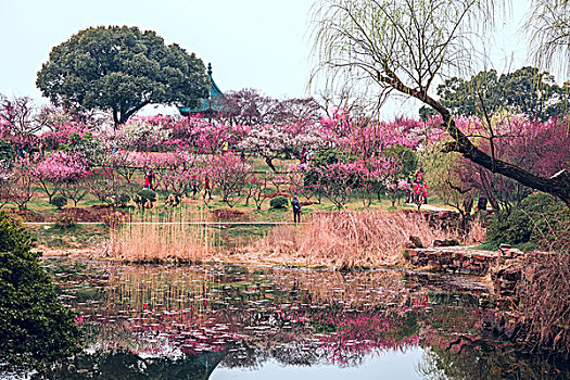 thống kê lô bạch thủ