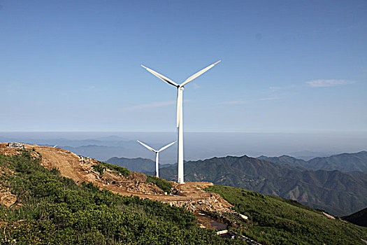xstd rong bach kim