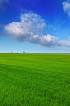 soi cầu miền bắc bạch thủ